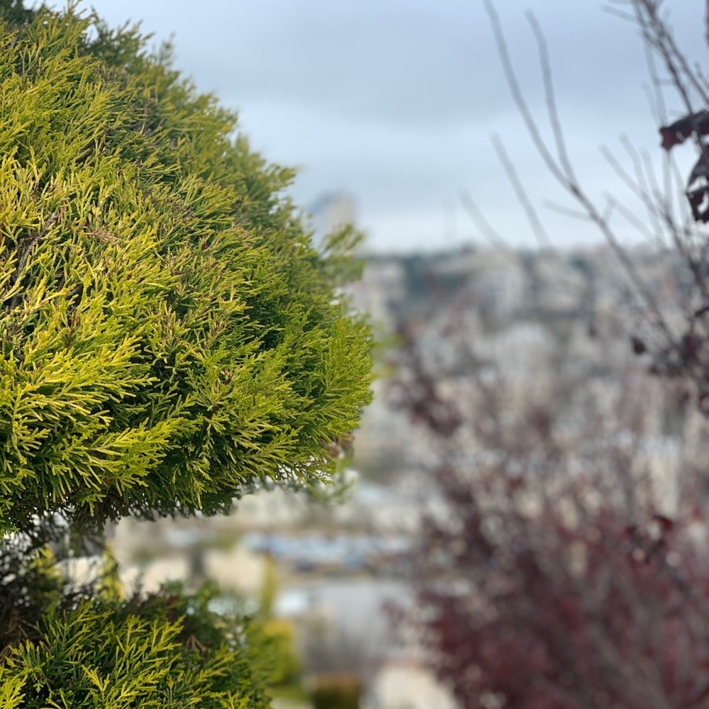 Meet your Posher, Marryum